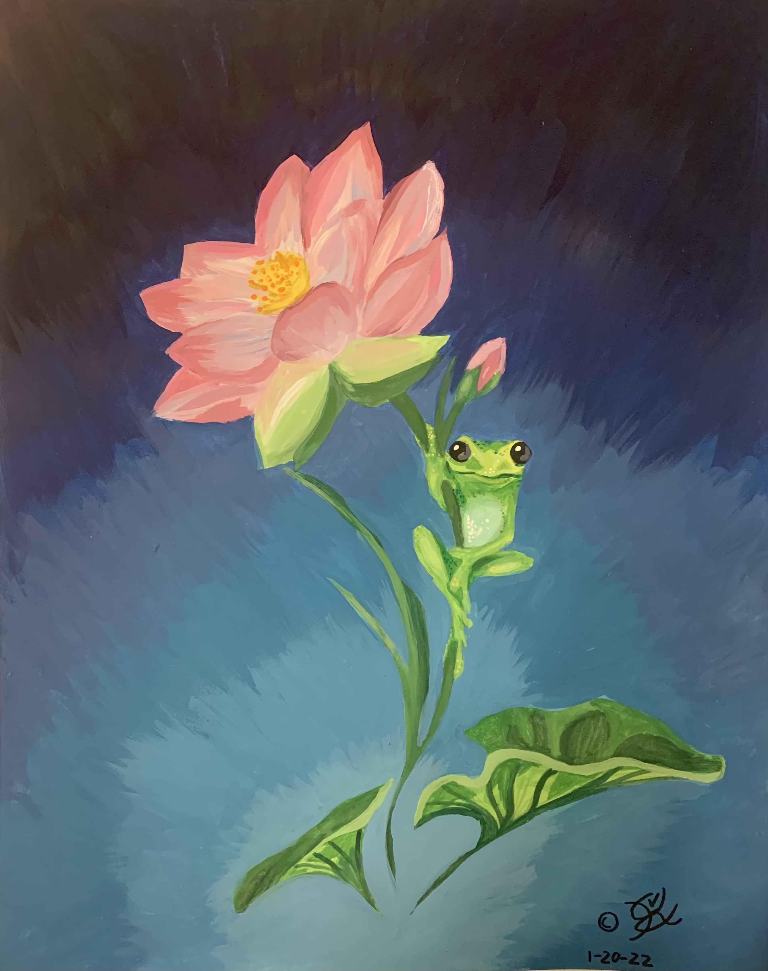 Frog perching on a flower stem