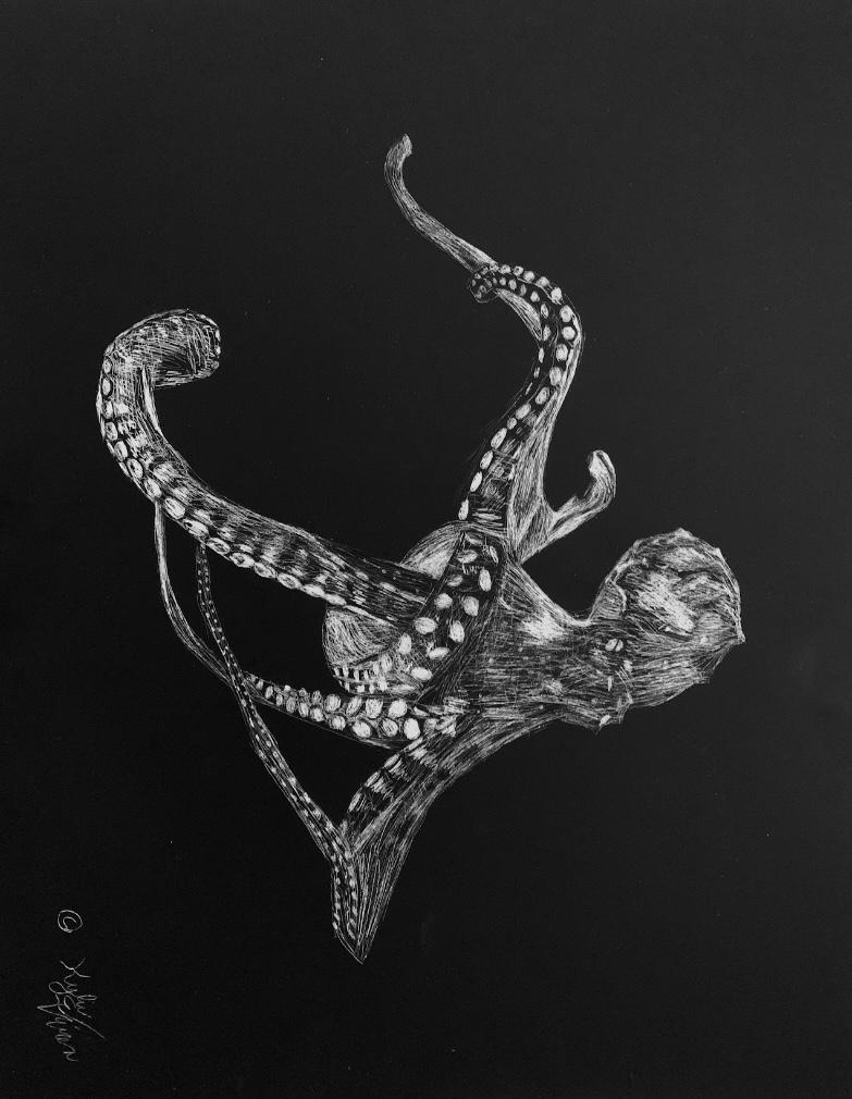 A scratchboard of an octopus